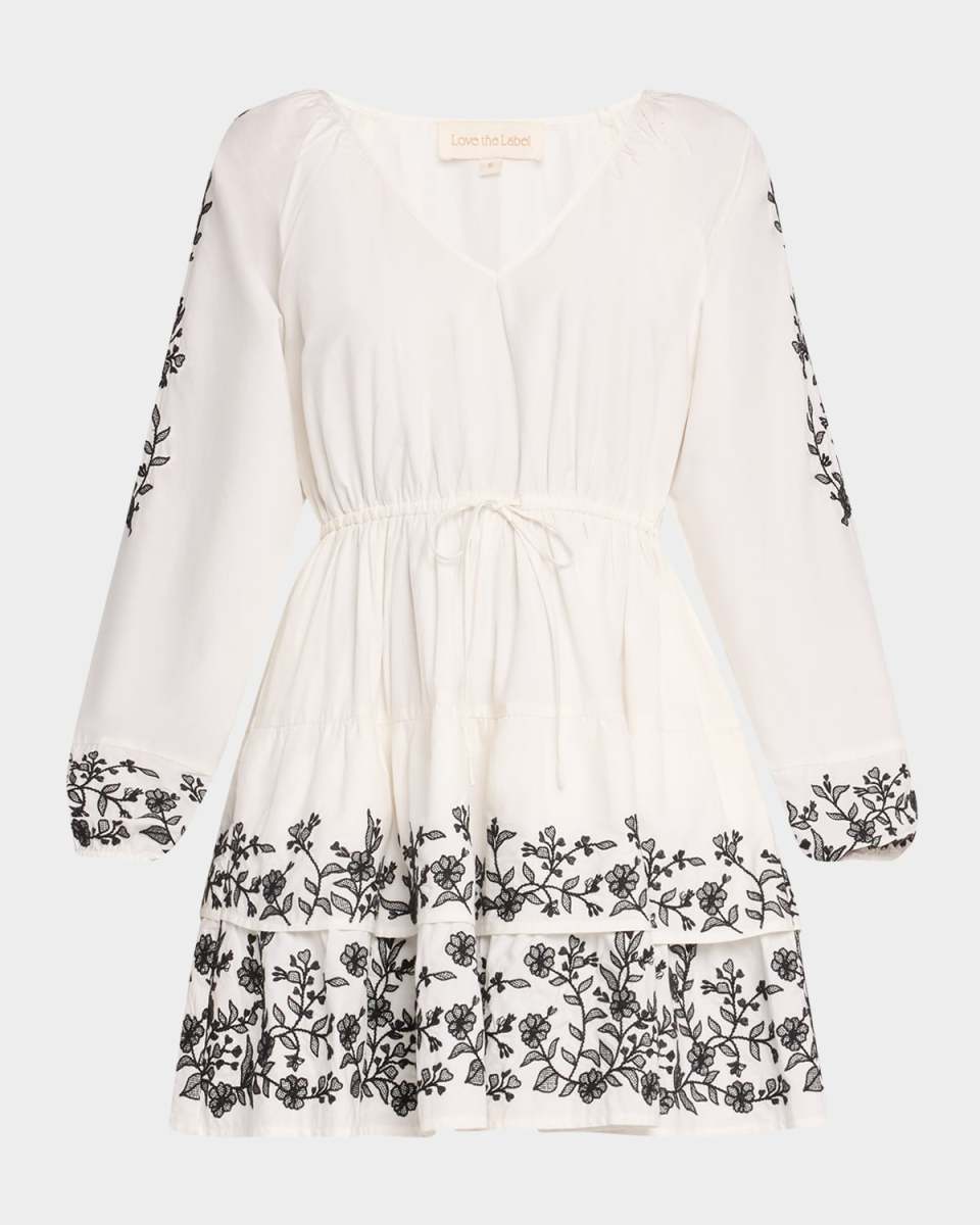 Sayuri Embroidered Mini Dress